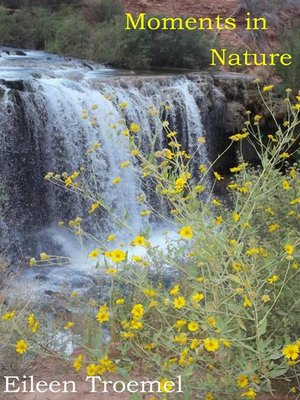 cover image of Moments in Nature